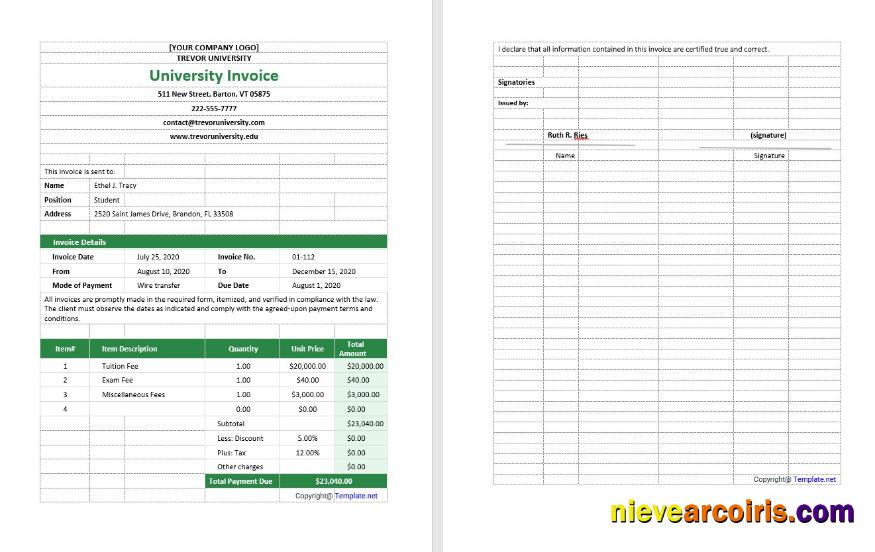 Blank University Invoice - Neveria Arcoiris